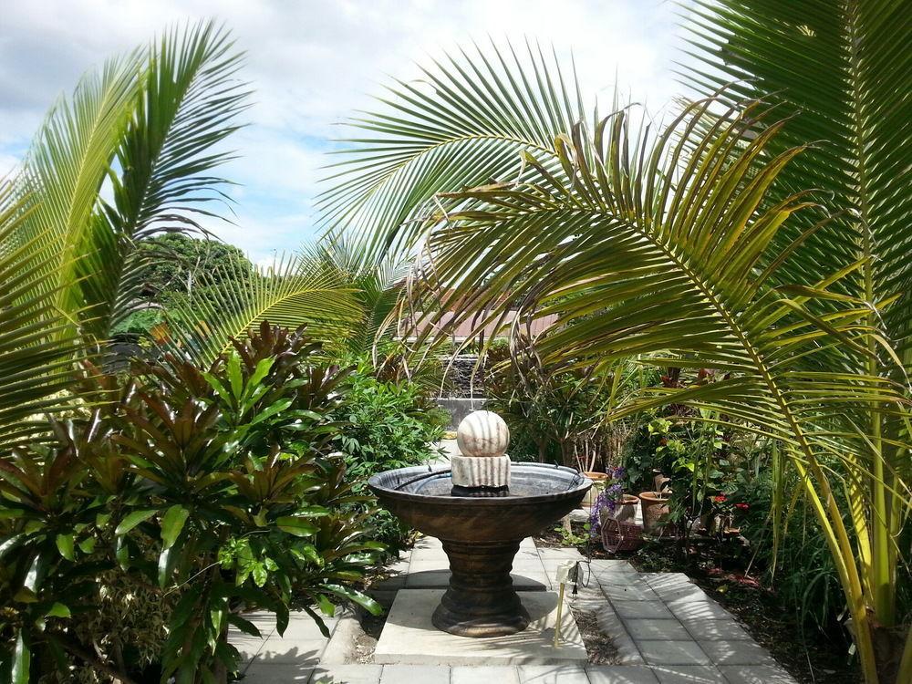 Donchai House Guest House& Cafe Chiang Mai Bagian luar foto